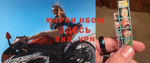 индика Алексин
