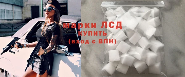 индика Алексин