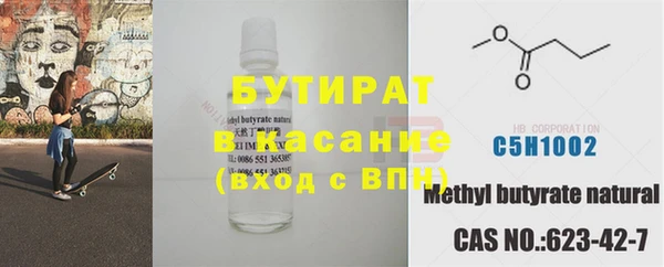 индика Алексин