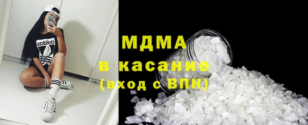 индика Алексин
