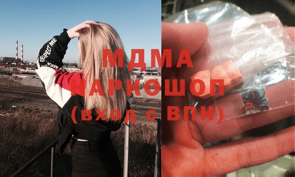 индика Алексин
