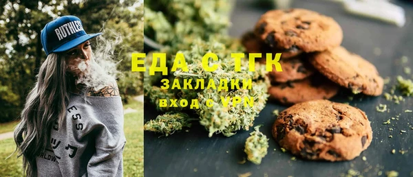 индика Алексин