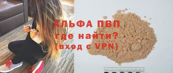 индика Алексин