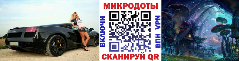 blacksprut ONION сколько стоит Томари Псилоцибиновые грибы GOLDEN TEACHER